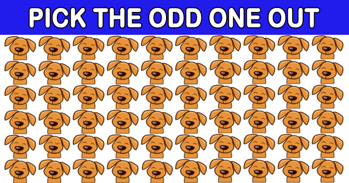 You Have 15 Seconds To Find The Different Dog In This 2-Level Challenge ...