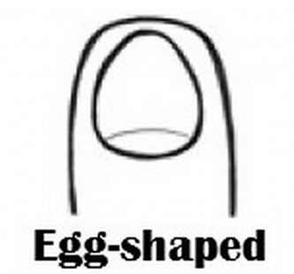Nail Shape