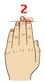 Ring finger length