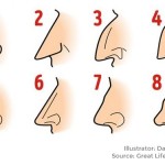 What Does Your Nose Shape Reveal About Your Personality?