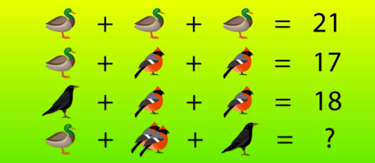 bird-math
