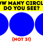 How Many Circles Can You See In This Tricky Eye Test?