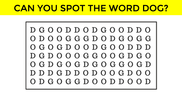 Only 5% Of People Can Find The Word Dog In This Tricky Word Search