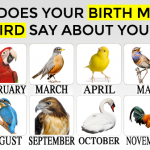 Find Out What Your Birth Month Bird Reveals About You