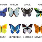 Find Out What Your Birth Month Butterfly Reveals About You