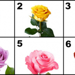 Choose The Most Beautiful Rose And Discover The Most Beautiful Secrets Of Your Love Life