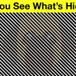Is Your Vision Sharp? Find out If You Can See What’s in This Image